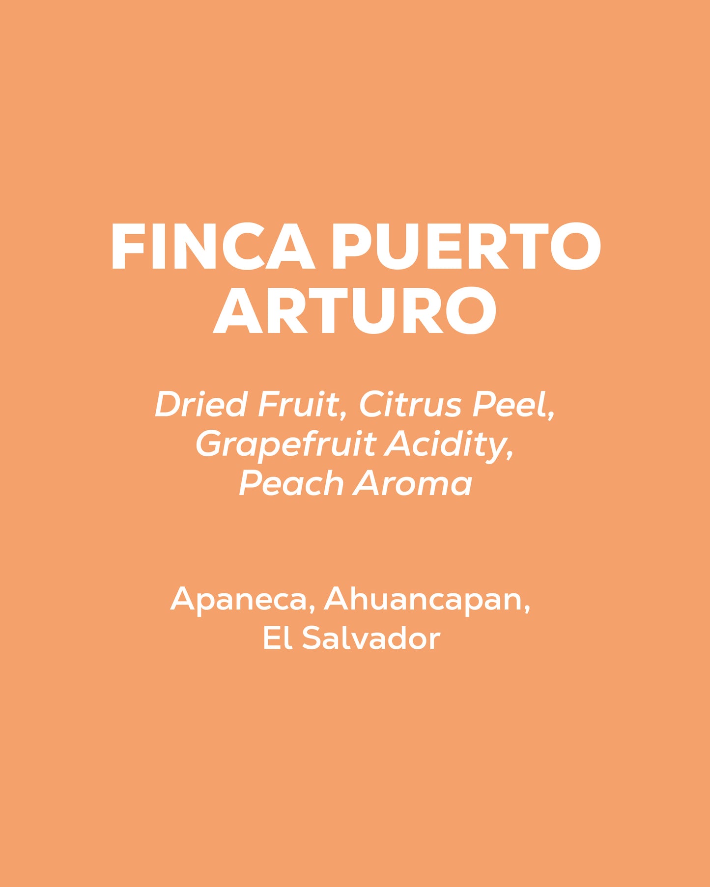 El Salvador - Finca Puerto Arturo