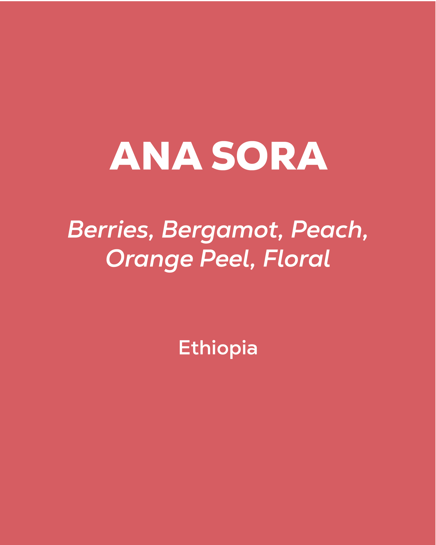 Ethiopia - Ana Sora