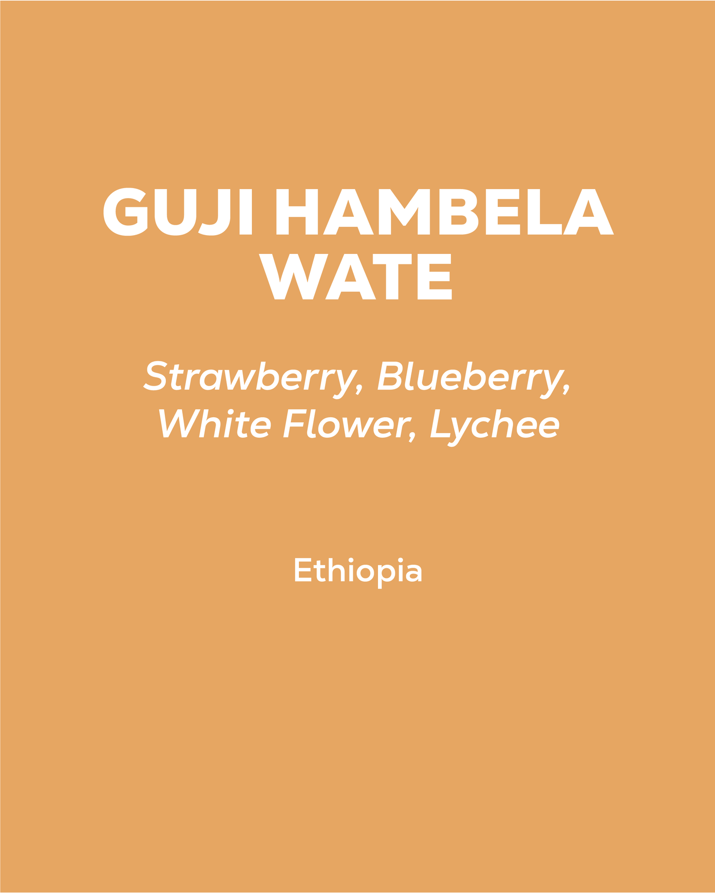 Ethiopia - Guji Hambela Wate