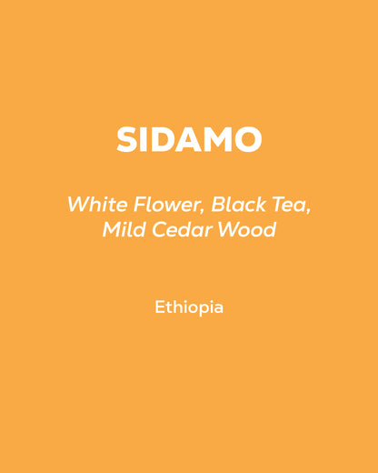 Ethiopia Sidamo