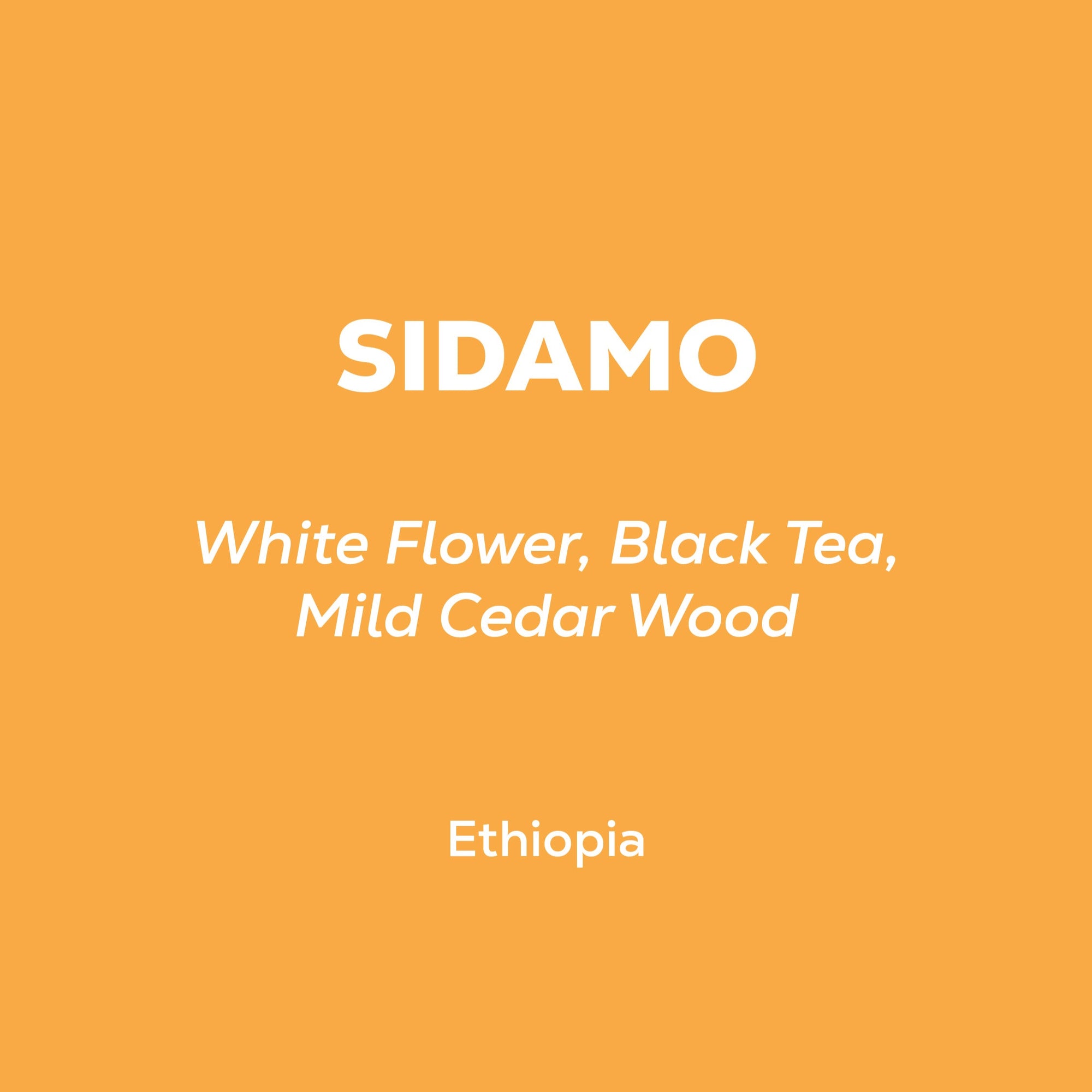 Ethiopia Sidamo