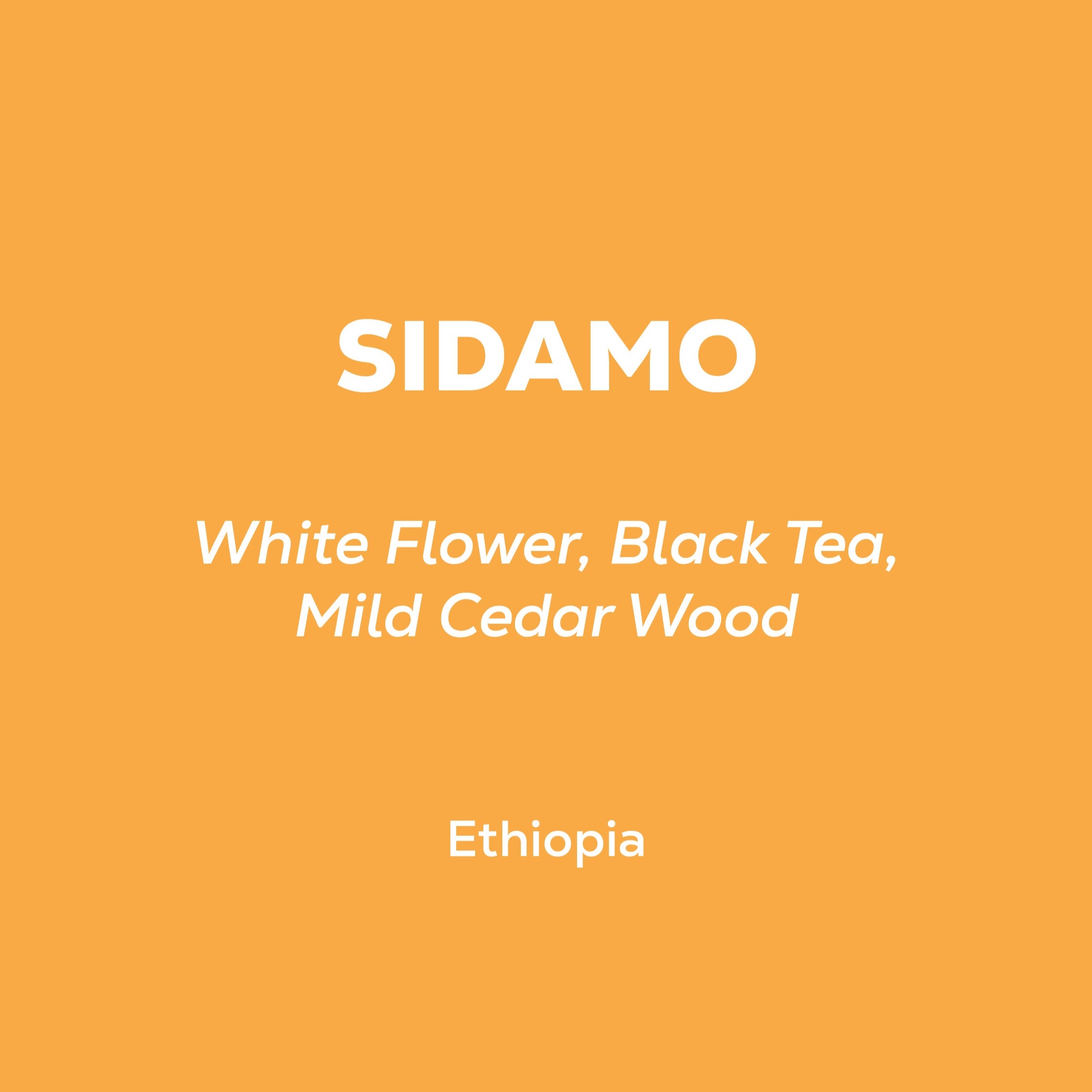 Ethiopia Sidamo