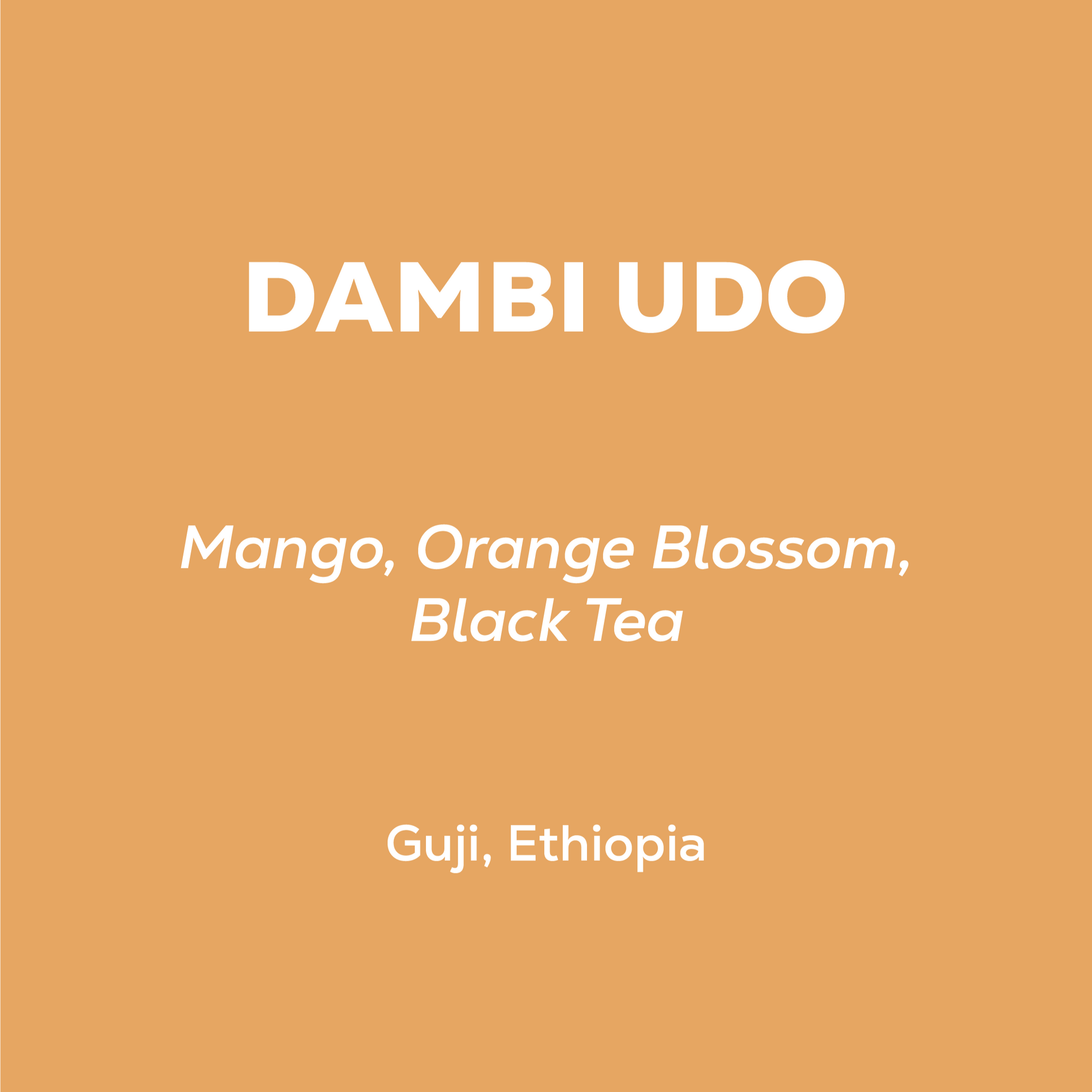 Ethiopia - Dambi Udo