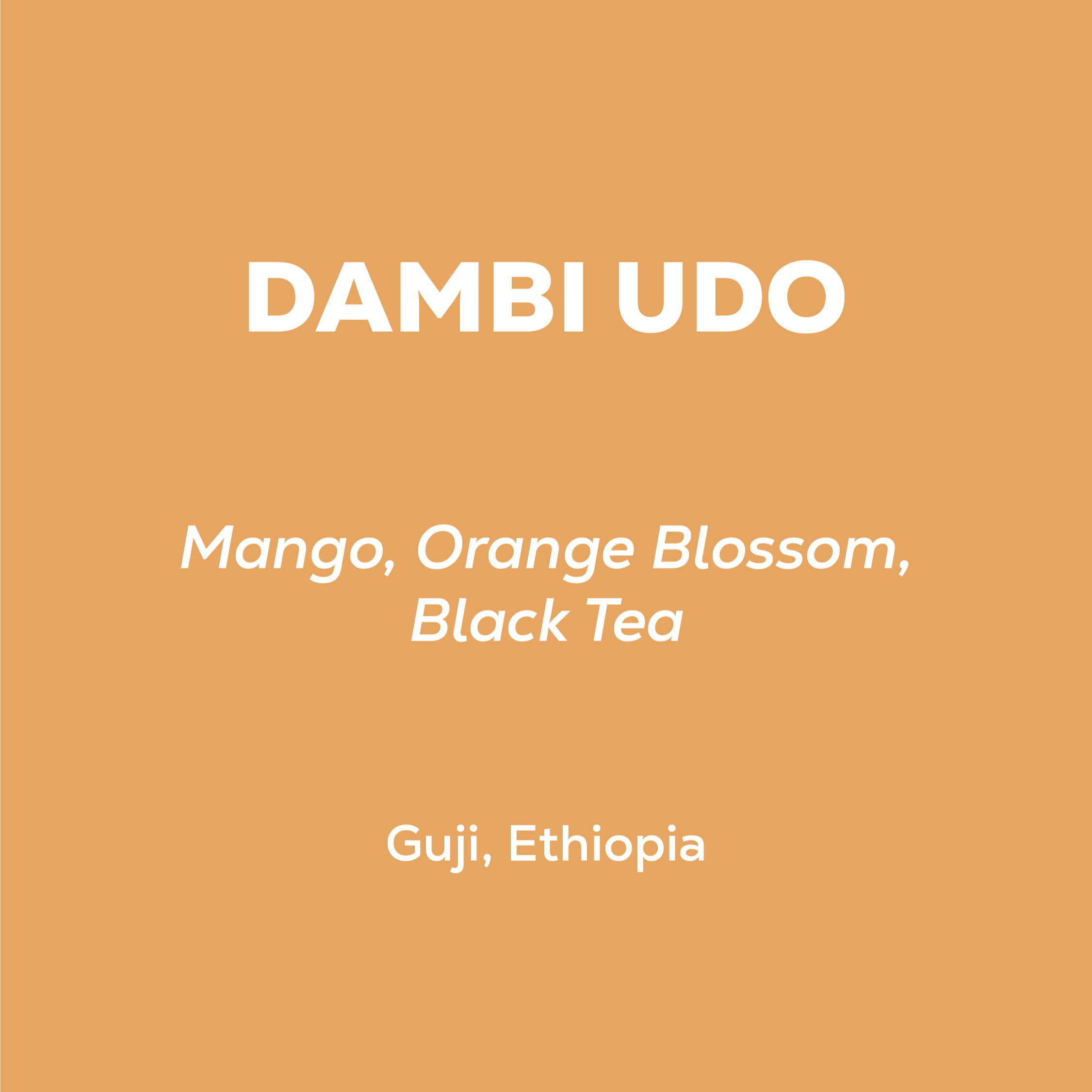 Ethiopia - Dambi Udo