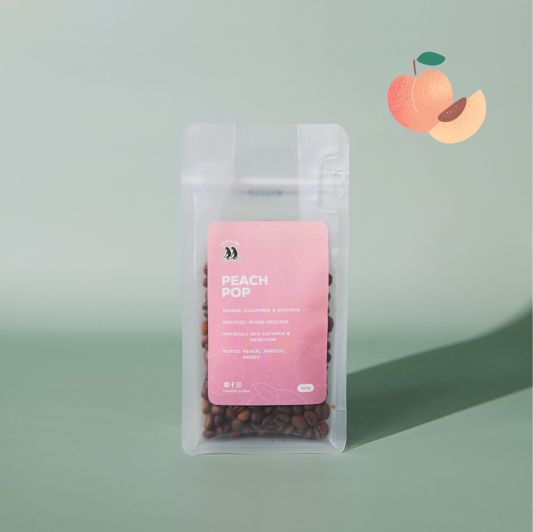 Fruité Basket Filter Series