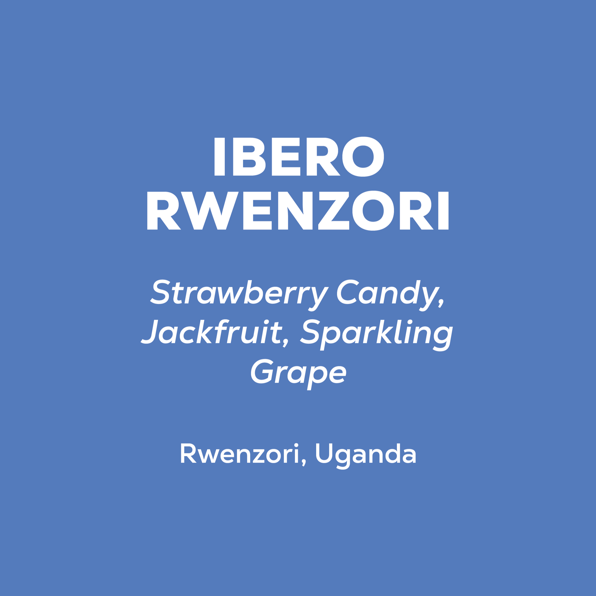 Uganda - Ibero Rwenzori